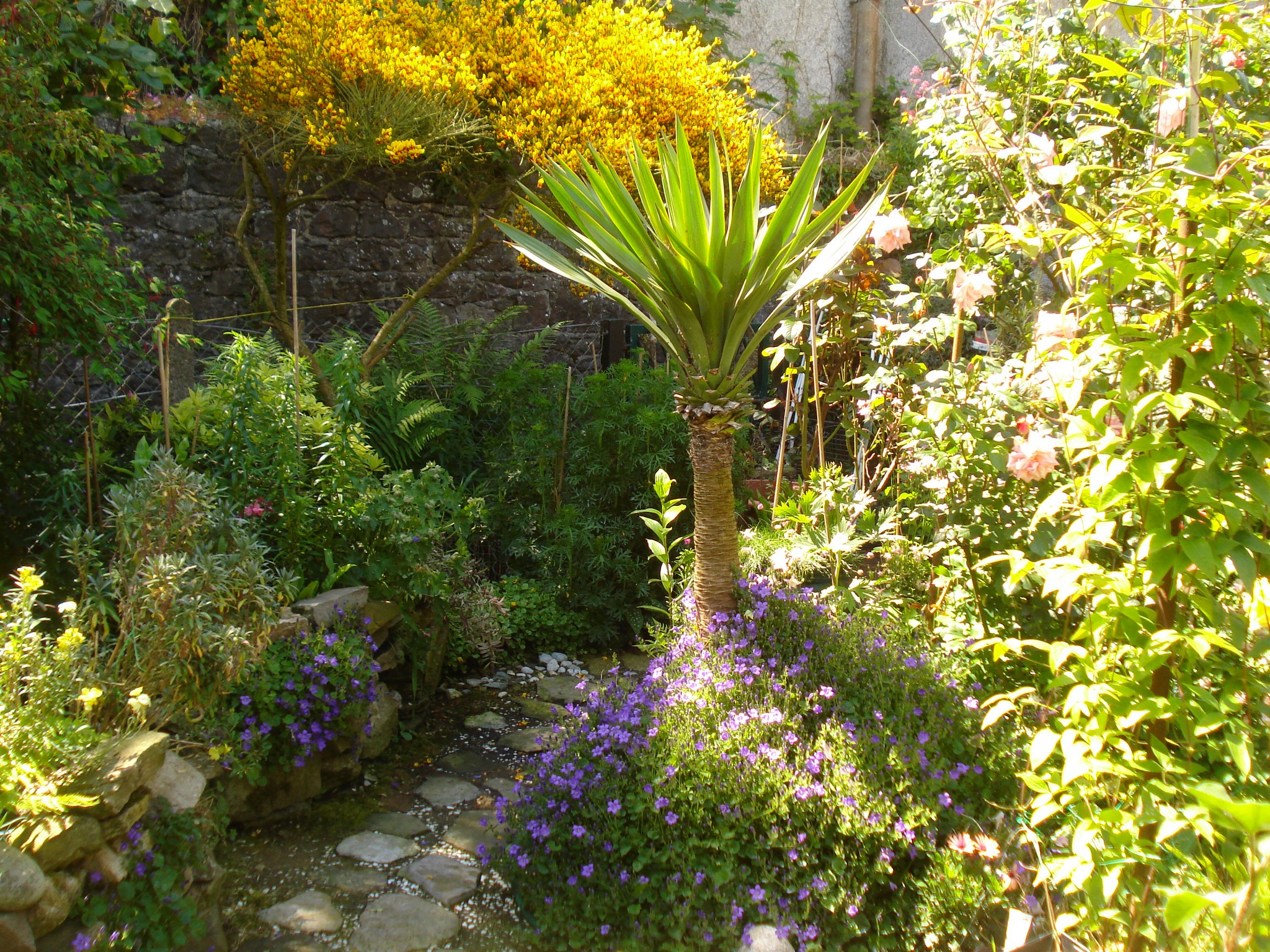 15th June 2015 022.jpg