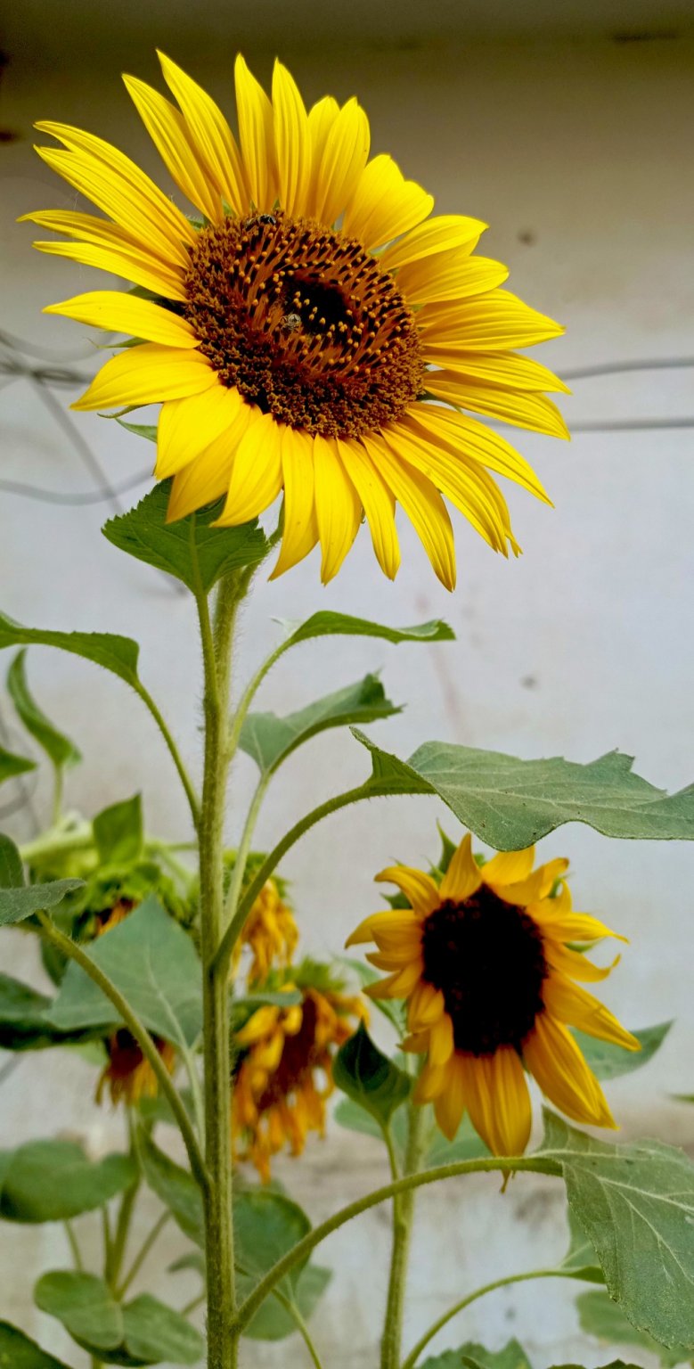 1714101941139_copy_1008x1985.jpg