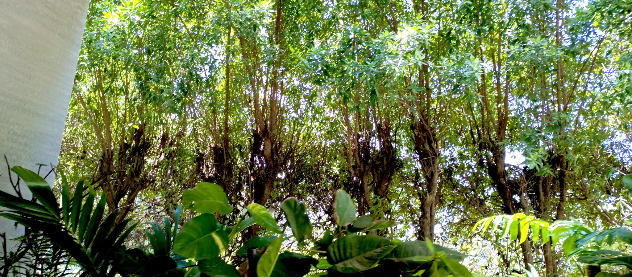 1716174860778_copy_2296x1008.jpg