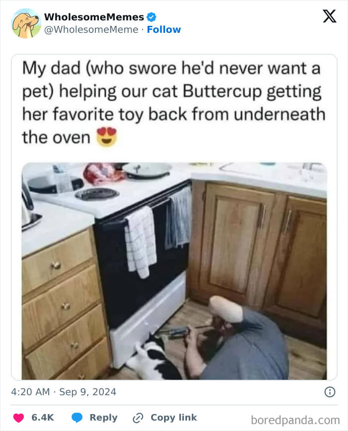 1745686600948.jpeg
