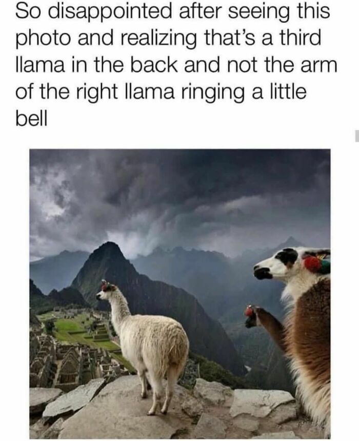 1745763205265.jpeg