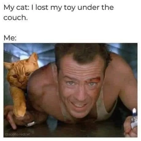 1746232181803.png