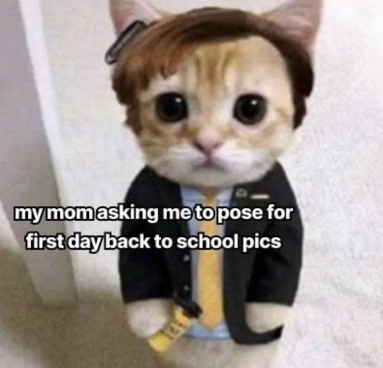 1747085288439.png