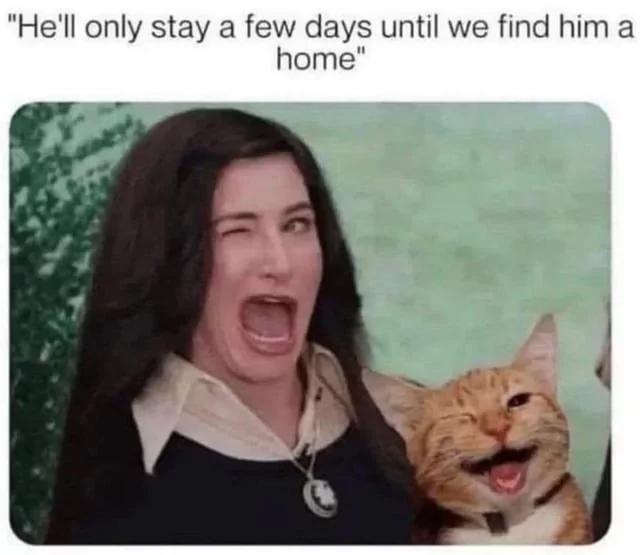 1747764772992.png