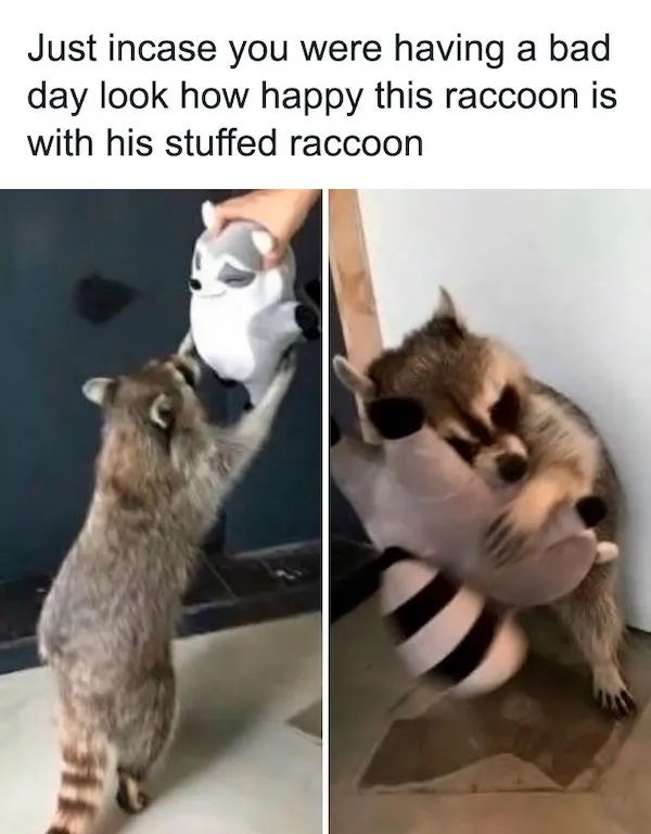 1748623661394.jpeg