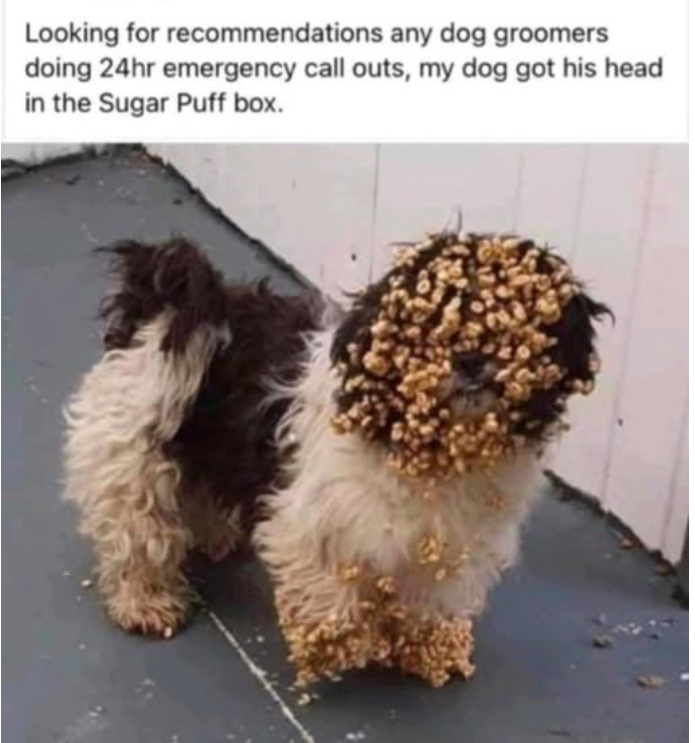 1749271412868.png