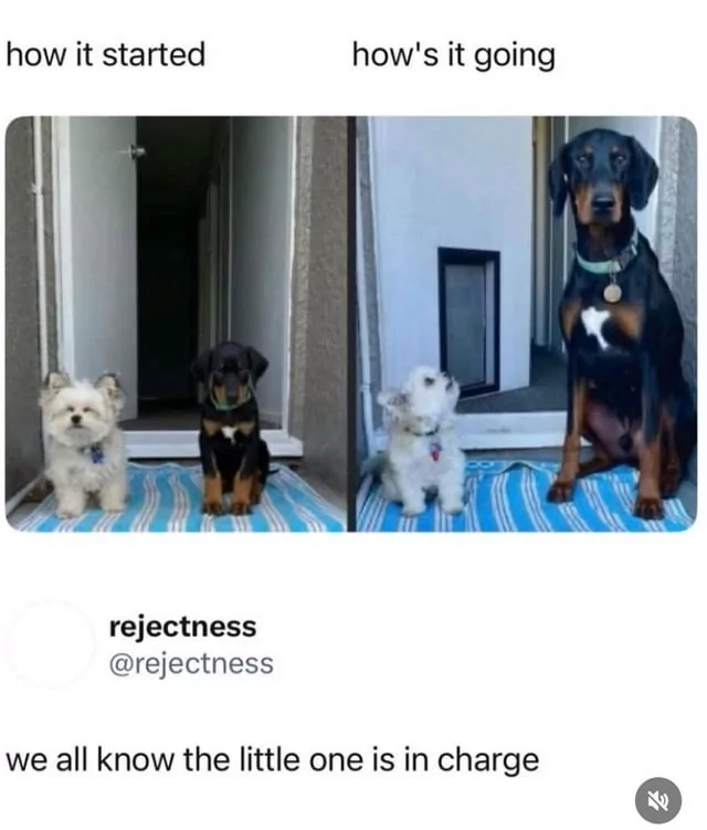 1749890446368.png