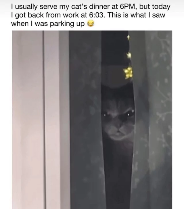 1749890547743.png