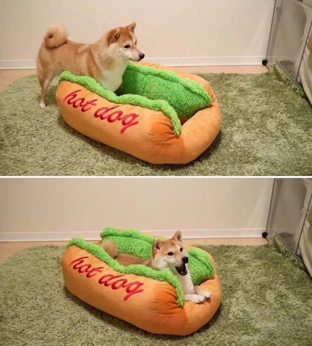 1750318765578.png
