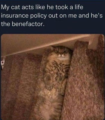 1750471478162.jpeg