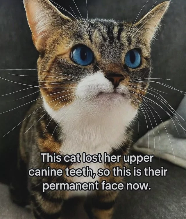 1750769821014.png