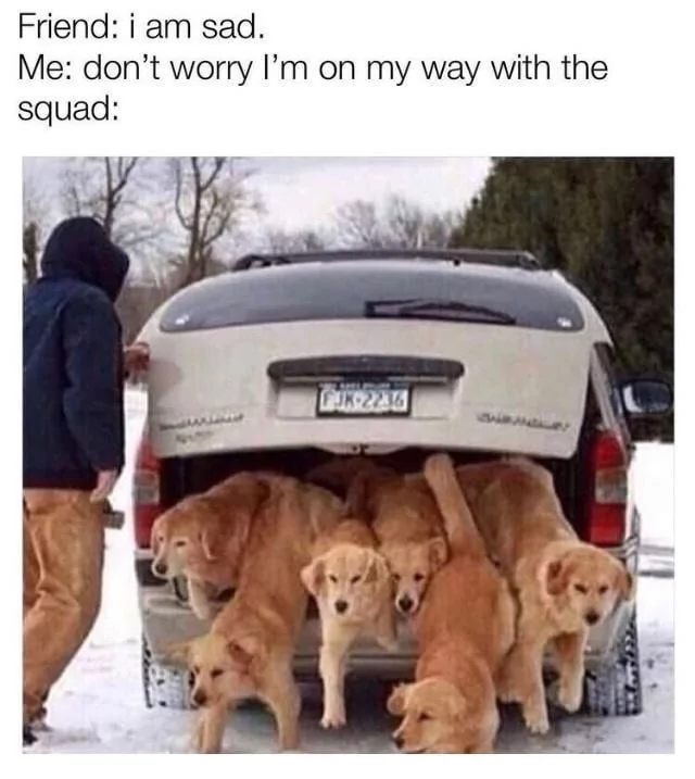1750862785185.png