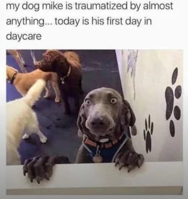 1750884520823.png