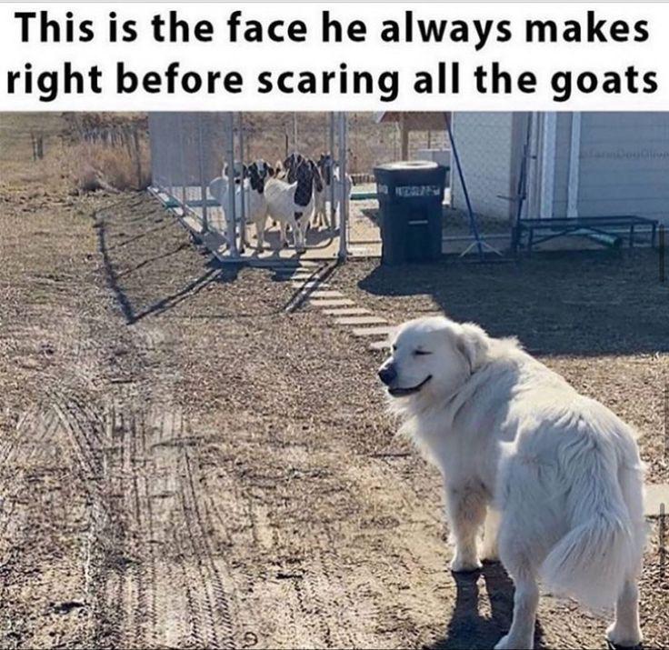 1751739609717.jpeg