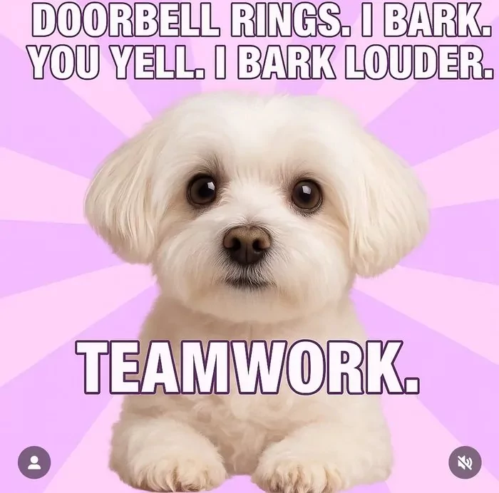 1752003335158.png