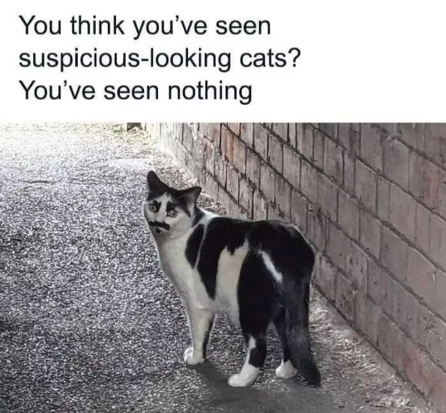 1752511480303.png