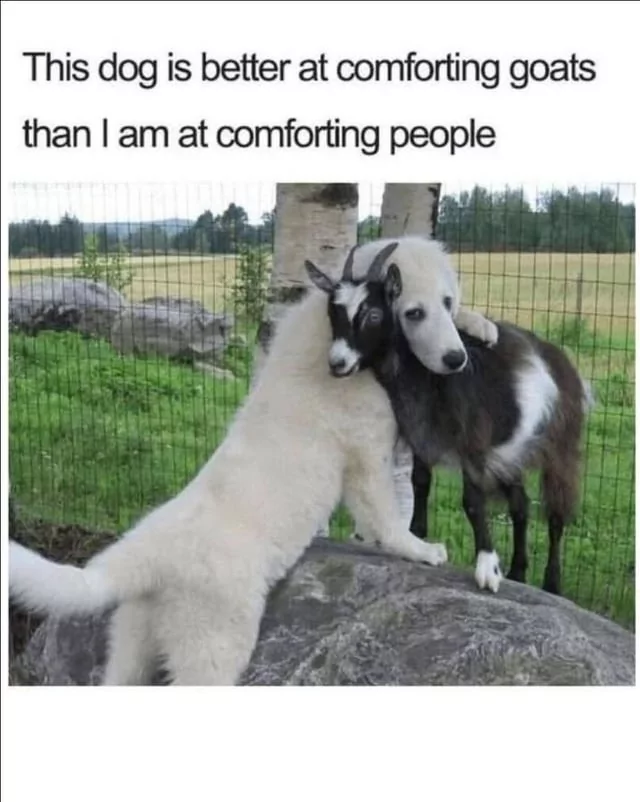 1753121523838.png
