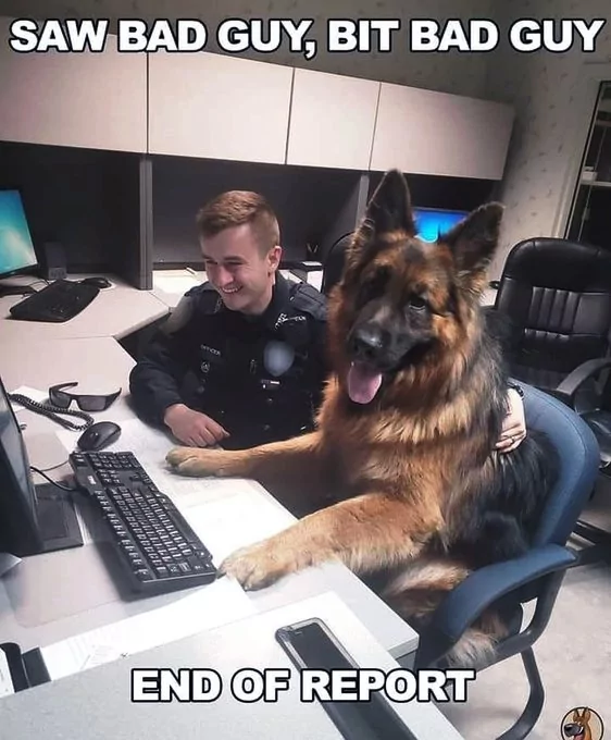 1755202743703.png