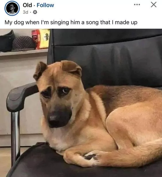 1756399143416.png