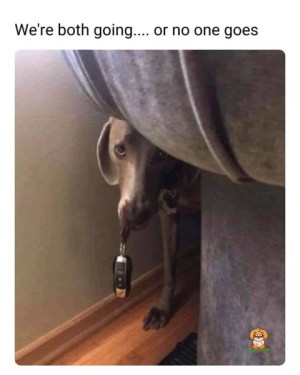 1757104064451.png