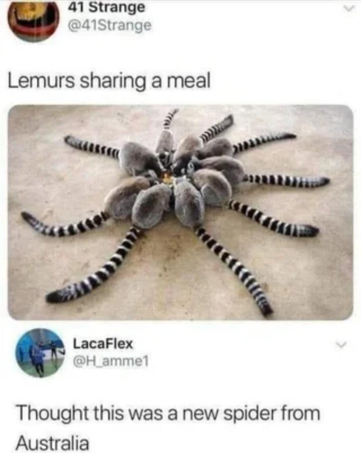 1757624354051.jpeg
