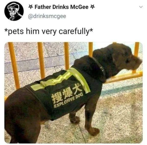 1757774793440.jpeg
