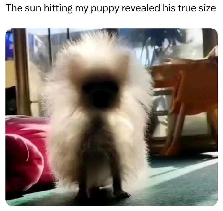 1758032531646.jpeg
