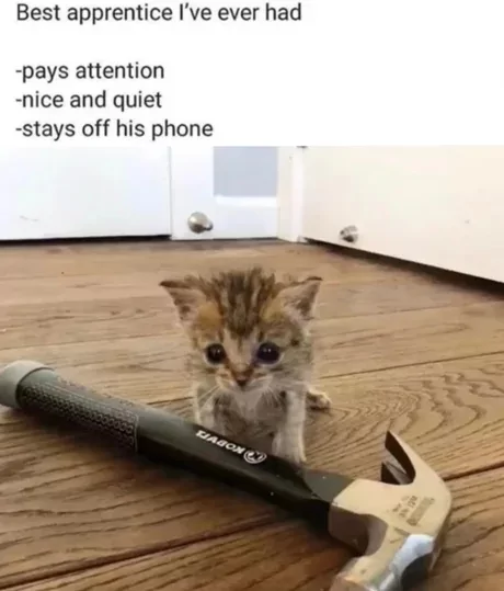 1759357592359.png