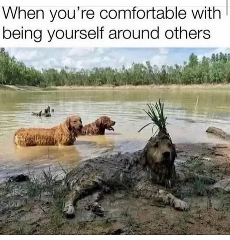 1759357621941.png