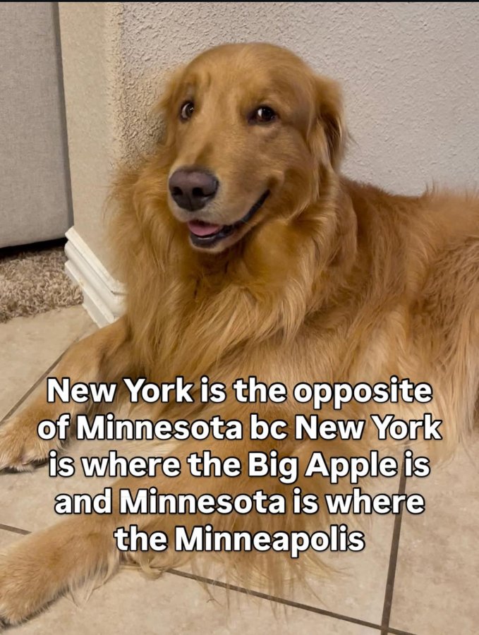 1759857323924.jpeg