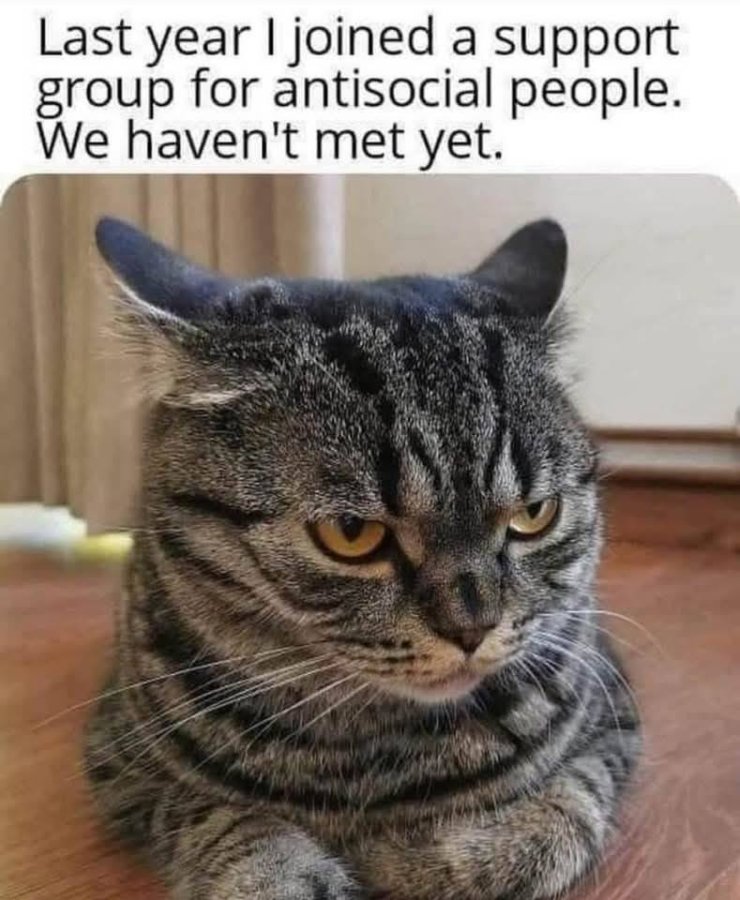 1760303602452.jpeg