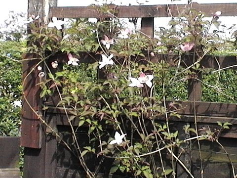 2007_04250021.JPG