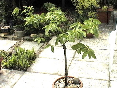 2007_05010004.JPG