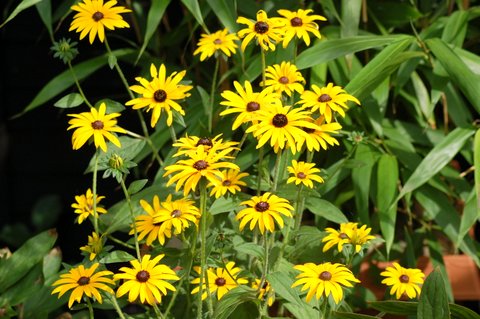2007_08310013.JPG