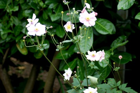 2007_08310015.JPG