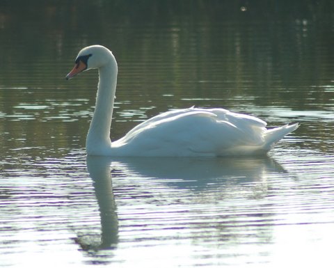 2007_10140094.JPG