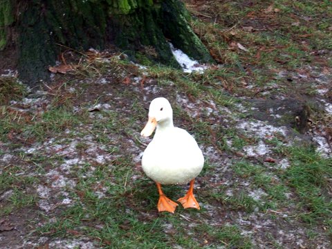 2007_12280014.JPG