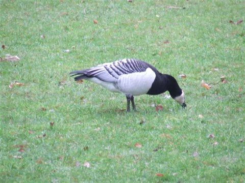 2007_12280026 (Small).JPG