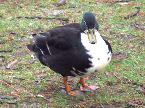 2007_12280195.JPG