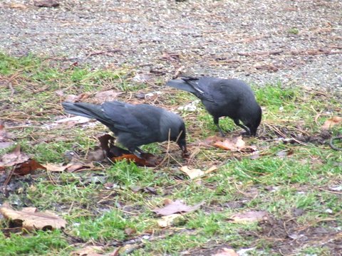 2007_12280203.JPG