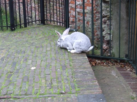 2007_12280320.JPG
