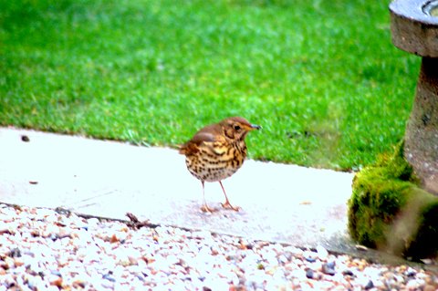 2008_01040025.JPG