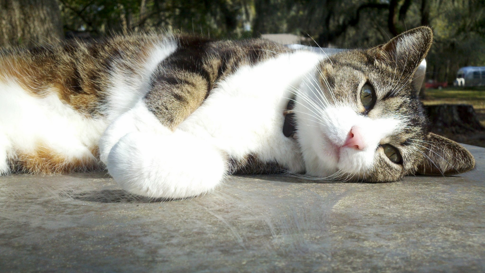 2013-03-24 16-57-04.jpg