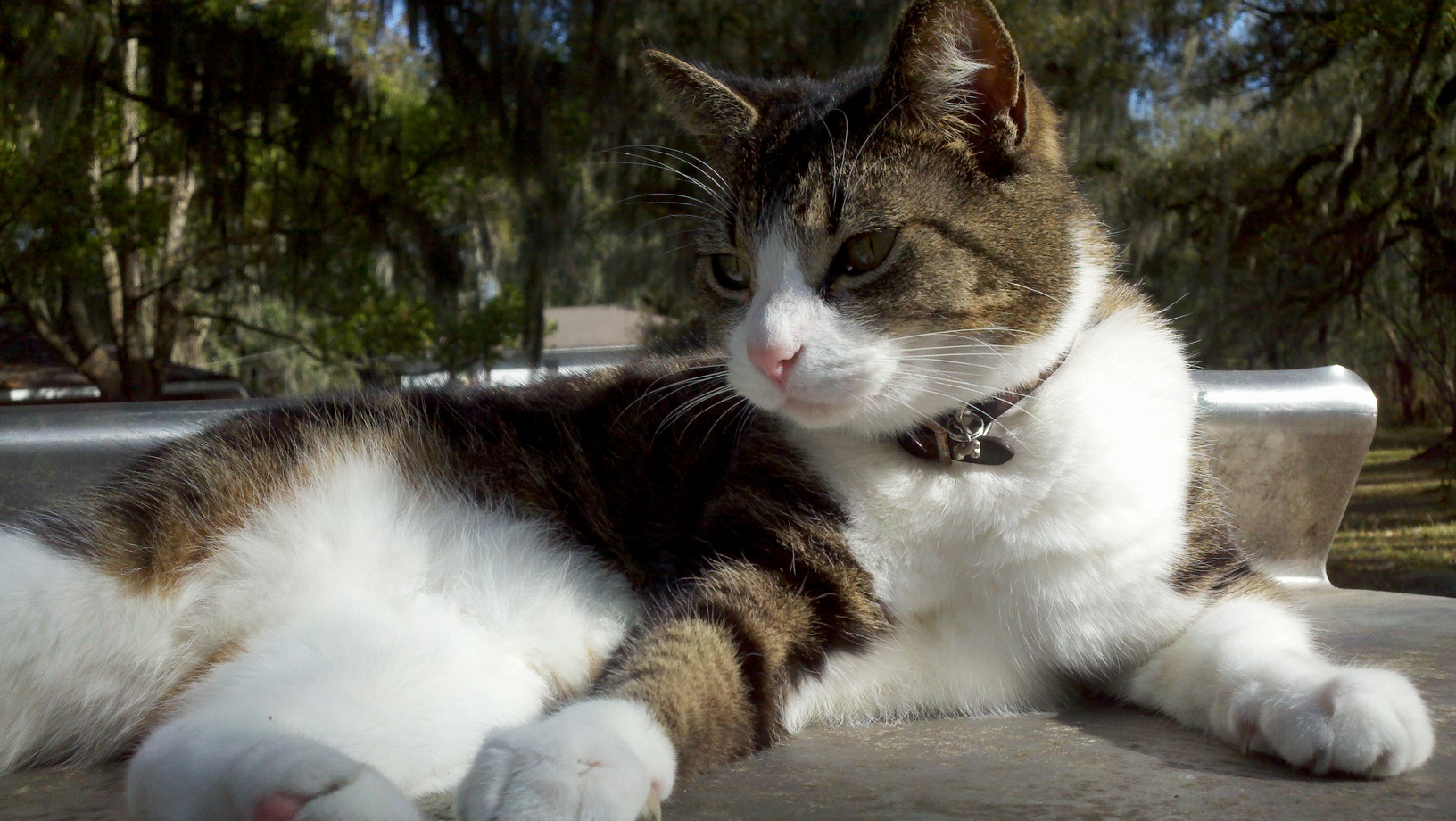 2013-03-24 16-57-56.jpg