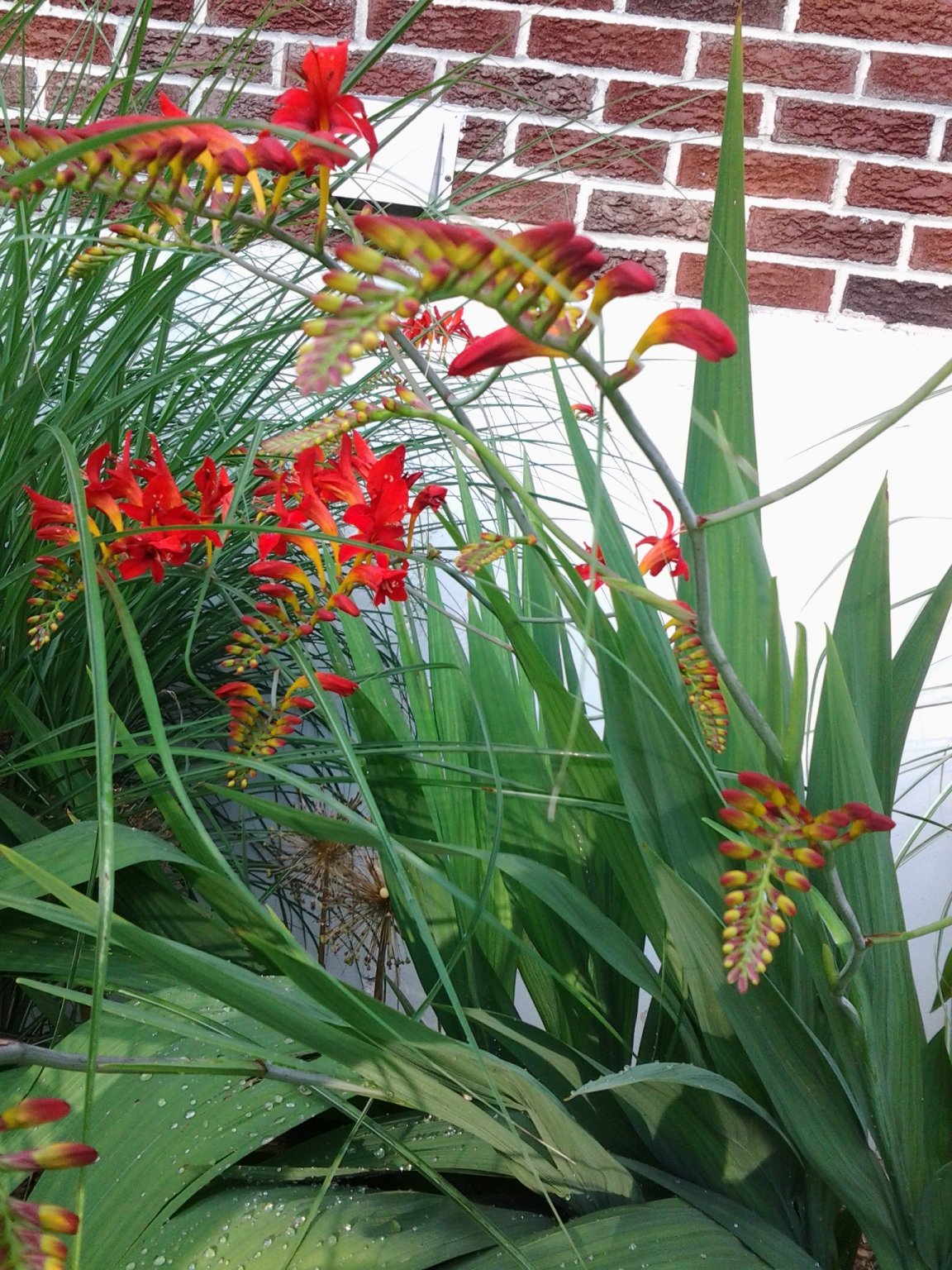 20130709_184524.jpg