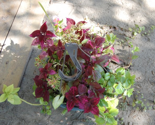 2015-05-07 004.JPG