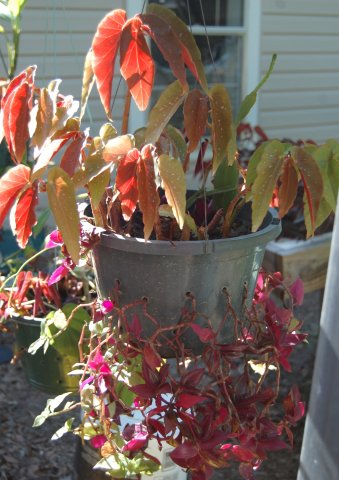 2015-05-07 013.JPG