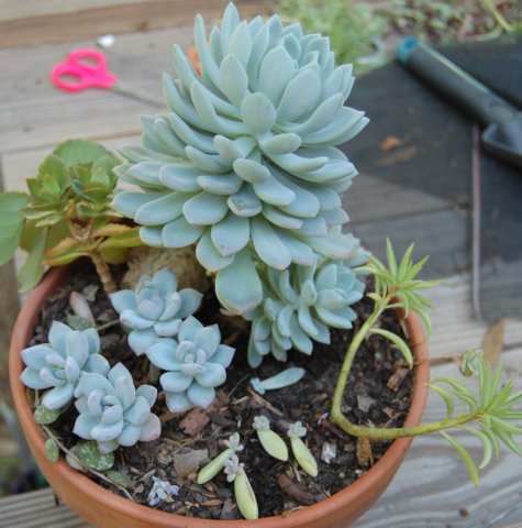2015-05-07 016.JPG