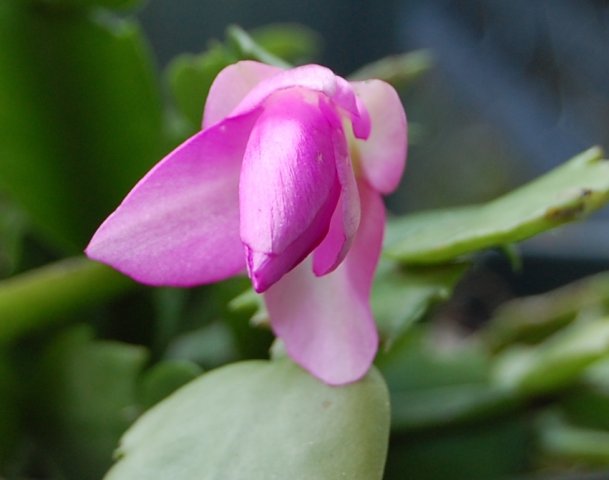 2015-05-11 014.JPG