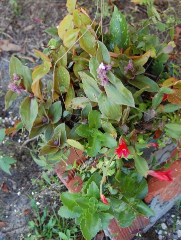 2015-05-22 001.JPG